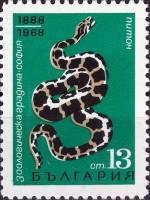 (1968-046) Марка Болгария "Питон"   80-летие Софийского зоопарка I Θ