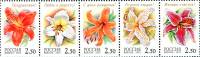 2002-016-20  Сцепка (5 м) Россия Лилии  Флора. Лилии III O
