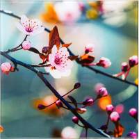 Панно настенное "Ветка сакуры", стекло (сост. на фото)