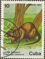 (1984-076) Марка Куба "Чернохвостая древесная крыса"    Фауна III Θ