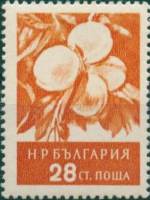 (1956-014) Марка Болгария "Абрикосы"   Фрукты (2) I Θ