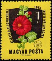(1961-089) Марка Венгрия "Штокроза розовая"    Лекарственные растения III Θ