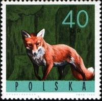 (1965-076) Марка Польша "Рыжая лиса"   Животные II Θ