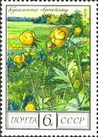 1975-106 Марка СССР Купальница европейская  Флора III O
