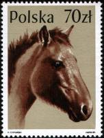(1989-006) Марка Польша "Домашняя лошадь"    Лошади III Θ