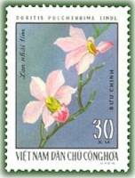 (1976-028) Марка Вьетнам "Фаленопсис пульхеррима"   Орхидеи III Θ