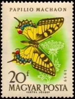 (1959-065) Марка Венгрия "Махаон"    Бабочки II Θ