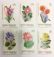 --  Набор марок Румыния 6 шт.  Негашеные , III O