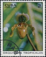 (1973-018) Марка Куба "Башмачок"    Орхидеи II Θ