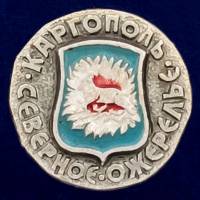 29439\131994 Значок "г Каргополь"