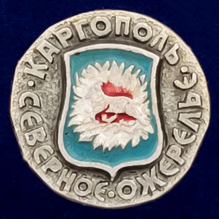 29439\131994 Значок &quot;г Каргополь&quot;