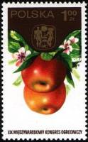 (1974-040) Марка Польша "Яблоки"    19 Международный садоводческий конгресс I Θ