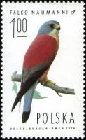 (1975-002) Марка Польша "Степная пустельга (самец)"    Ястребы III Θ