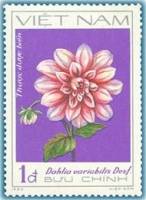 (1982-051a) Марка Вьетнам "Красно-белые георгины"  Без перфорации  Георгины III Θ