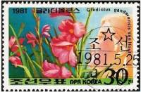(№2128) Марка Корея Северная 1981 год "Гладиолус gandavensis", Негашеная