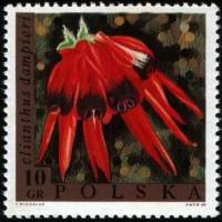 (1968-017) Марка Польша "Свайнсона прекрасная"   Выставка цветов III Θ