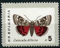 (1962-064) Марка Болгария "Ленточница малиновая" Перф лин 11   Бабочки II O