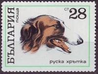 (1970-057) Марка Болгария "Русская борзая"   Собаки III O
