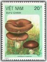 (1987-113) Марка Вьетнам "Сыроежка золотистая"    Грибы III Θ