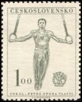 (1951-029) Марка Чехословакия "Гимнастика"    9 Сокол конгресс II Θ