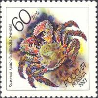 1993-042 Марка Россия Колючий краб  Жители морей Тихоокеанского региона III O