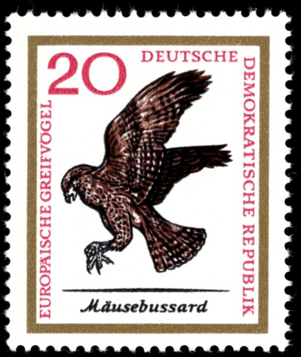 (1965-069) Марка Германия (ГДР) &quot;Обыкновенный канюк&quot;    Хищные птицы II Θ