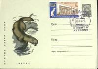 1967-год  Конверт спецгашение СССР Международный пушной аукцион   , Печать ПД Марка