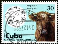 (1975-075) Марка Куба "Корова"    Развитие ветеринарии III O