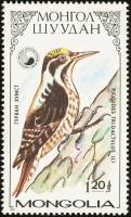 (1987-022) Марка Монголия "Трехпалый дятел"    Птицы семейства дятловых III O