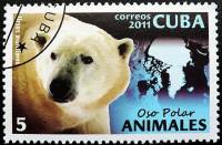(№5529) Марка Куба 2011 год "Полярный Медведь-ursus тагштиз", Гашеная