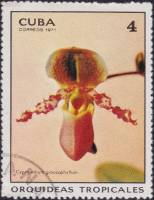 (1971-038) Марка Куба "Венерин башмачок"    Орхидеи III Θ