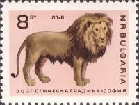 (1966-034) Марка Болгария "Лев"   Софийский зоопарк II O