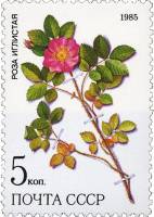 1985-063 Марка СССР Роза иглистая  Лекарственные растения Сибири III O