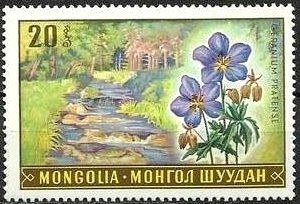 (1969-023) Марка Монголия "Герань луговая"    Растительный мир Монголии III &Theta;
