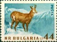 (1958-014) Марка Болгария "Серна" Перф лин 11   Дикие животные Болгарии II Θ