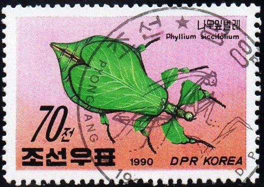 (1990-064) Марка Северная Корея &quot;Листотелы&quot;   Насекомые III Θ