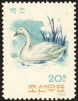 (1962-044) Марка Северная Корея "Тундровый лебедь"   Птицы II Θ