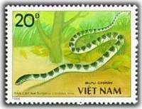 (1989-044a) Марка Вьетнам "Синий крайт"  Без перфорации  Ядовитые змеи III Θ