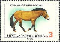 (1980-099) Марка Болгария "Лошадь Пржевальского"   Породы лошадей II Θ