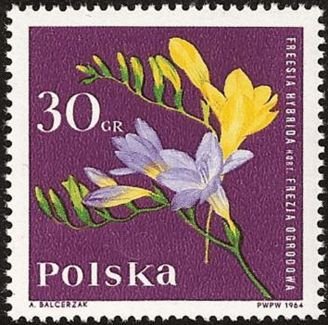 (1964-084) Марка Польша &quot;Фрезия&quot; , III O