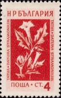 (1954-001) Марка Болгария "Дурман (02.02)"   Лекарственные растения Болгарии (3) II O