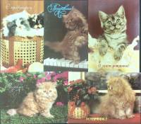 Набор поздравительных открыток "Кошки", 5 шт., 14*10,5 см., СССР