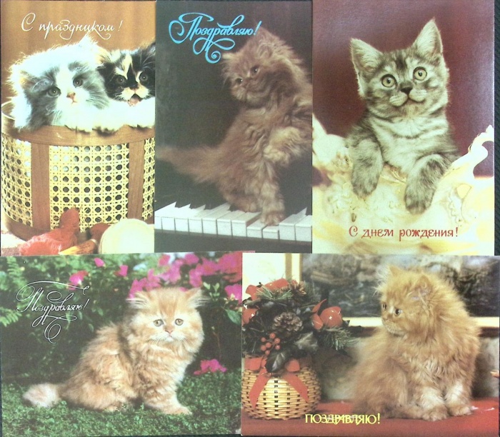 Набор поздравительных открыток &quot;Кошки&quot;, 5 шт., 14*10,5 см., СССР