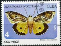 (1979-036) Марка Куба "Точечная подкрыльевая моль"    Бабочки III O