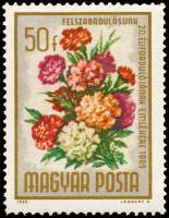 (1965-026) Марка Венгрия "Гвоздика садовая"    20-я годовщина освобождения. Букеты цветов III Θ