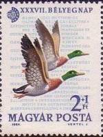 (1964-069) Марка Венгрия "Кряква"    День почтовой марки. Выставка почтовых марок IMEX 1964 III Θ