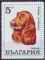 (1970-054) Марка Болгария "Коккер-спаниель"   Собаки III O