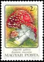 (1986-070) Марка Венгрия "Мухомор красный"    Ядовитые грибы III Θ