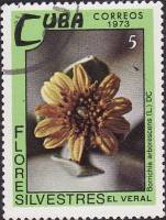 (1973-075) Марка Куба "Древовидная боррихия"    Полевые цветы III Θ