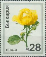 (1970-035) Марка Болгария "Жёлтая роза"   Розы II Θ